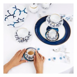 Raynaud, Cristobal marine, Creamer