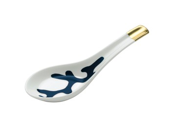 Raynaud, Cristobal marine, Chinese spoon