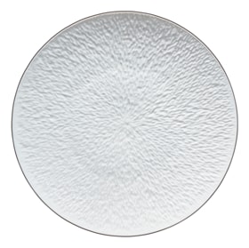 Raynaud, Minéral platinum, Presentation plate