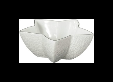 Raynaud, Minéral platinum, Star sugar bowl