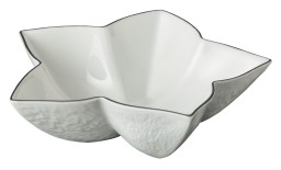 Raynaud, Minéral platinum, Star cup