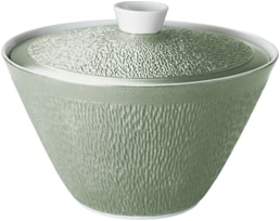 Raynaud, Minéral irisé Celadon, Soup tureen