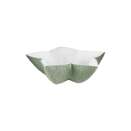 Raynaud, Minéral irisé Celadon, Star cup