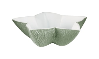 Raynaud, Minéral irisé Celadon, Star cup