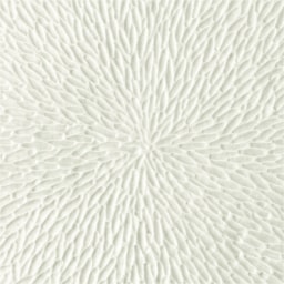 Raynaud, Minéral irisé Shell, Soup tureen