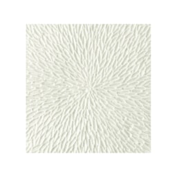 Raynaud, Minéral irisé Shell, Pepper shaker