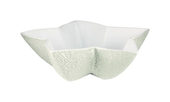 Raynaud, Minéral irisé Shell, Star cup