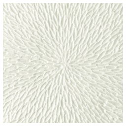 Raynaud, Minéral irisé Shell, Star cup