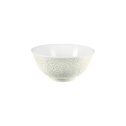 Raynaud, Minéral irisé Shell, Chinese soup bowl