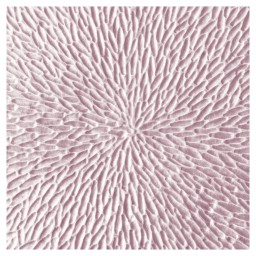 Raynaud, Minéral irisé Nacre, Tea cup extra