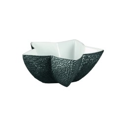 Raynaud, Minéral irisé Black, Star sugar bowl