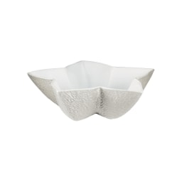 Raynaud, Minéral irisé Pearl Grey, Star cup