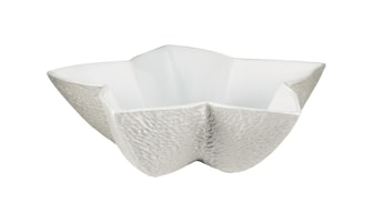 Raynaud, Minéral irisé Pearl Grey, Star cup