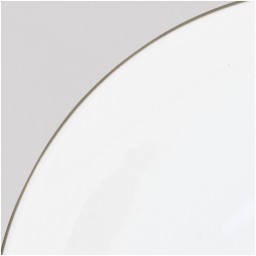 Raynaud, Monceau Platinum, Dinner plate, large