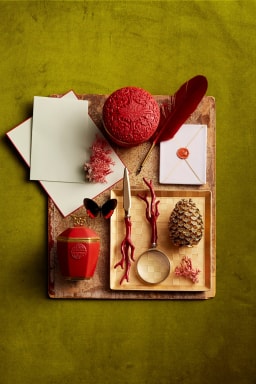 L'Objet, Coral, Magnifying glass - photo 2