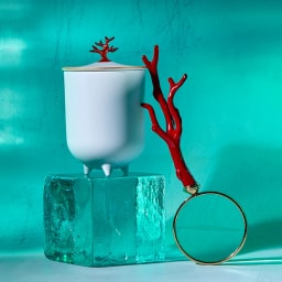 L'Objet, Coral, Magnifying glass - photo 3