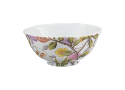 Raynaud, Paradis, Chinese rice bowl