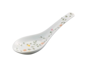 Raynaud, Paradis, Chinese spoon