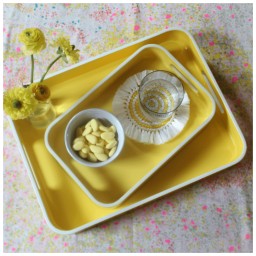 Von Gern Home, Trays and boxes, Medium tray, lemon