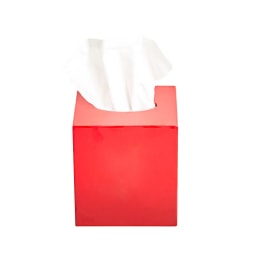 Von Gern Home, Trays and boxes, Tissue box, red ombre