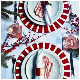 Von Gern Home, Stripe placemats and coasters, Set of 4 stripe coasters, red & black stripes