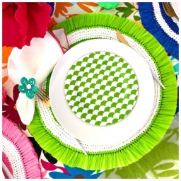 Von Gern Home, Woven, Fringe placemat, lime & white