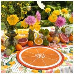 Von Gern Home, Citrus, Citrus Coasters S/4