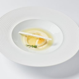 Hering Berlin, Pulse, Pasta plate - photo 3