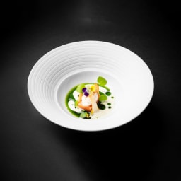 Hering Berlin, Pulse, Salad bowl - photo 3