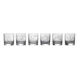 Artel, Sea life double old fashioned tumblers, Double old fashioned tumbler, starfish