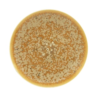 Jaune de Chrome, Song Ocre, Dessert plate