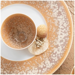 Jaune de Chrome, Song Ocre, Pasta plate