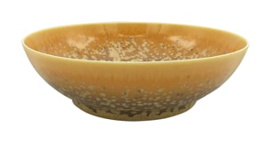 Jaune de Chrome, Song Ocre, Salad bowl, large