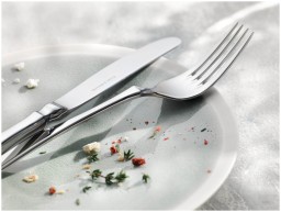 Robbe & Berking, Baltic cutlery, stainless steel, Menu fork