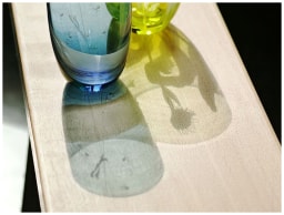 Theresienthal, Planet Earth, Pitcher, bee engravings