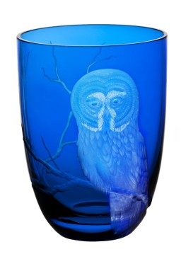 Theresienthal, Planet Earth, Tumbler, owl engraving