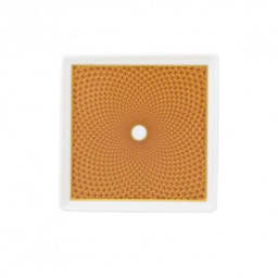 Raynaud, Trésor, Tray