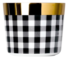 Sieger by Fürstenberg, Champagne goblets, Sip of Gold Vichy champagne goblet