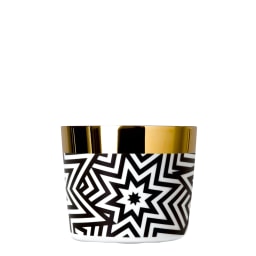 Sieger by Fürstenberg, Champagne goblets, Sip of Gold Stars champagne goblet