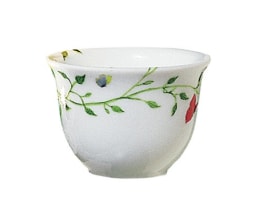 Raynaud, Histoire naturelle, Zarf or sake cup