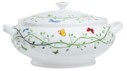 Raynaud, Histoire naturelle, Soup tureen