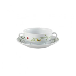 Raynaud, Histoire naturelle, Cream soup cup
