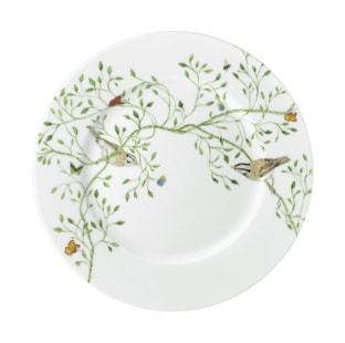 Raynaud, Histoire naturelle, Cake plate