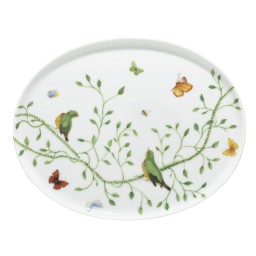 Raynaud, Histoire naturelle, Oval tray