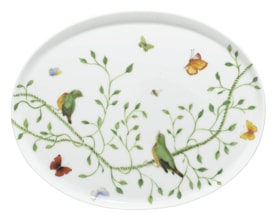 Raynaud, Histoire naturelle, Oval tray