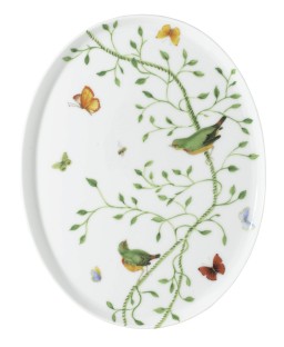 Raynaud, Histoire naturelle, Oval tray