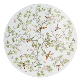 Raynaud, Paradis, Presentation plate