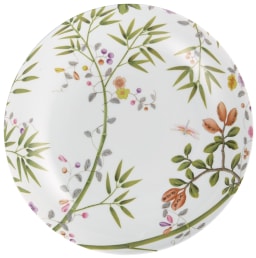 Raynaud, Paradis, Dinner plate