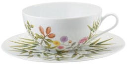 Raynaud, Paradis, Breakfast cup