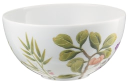 Raynaud, Paradis, Bowl